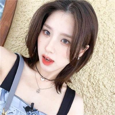 美国兔子的冒险