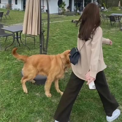 可爱的中国 动画版
